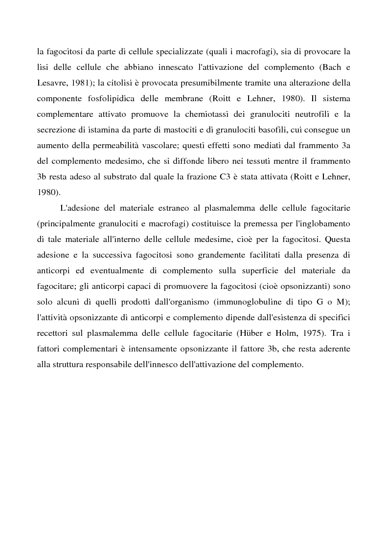 Anteprima della tesi: Mastociti e cellule dendritiche della cute e delle mucose analisi morfologiche e funzionali in condizioni normali e sperimentali, Pagina 6