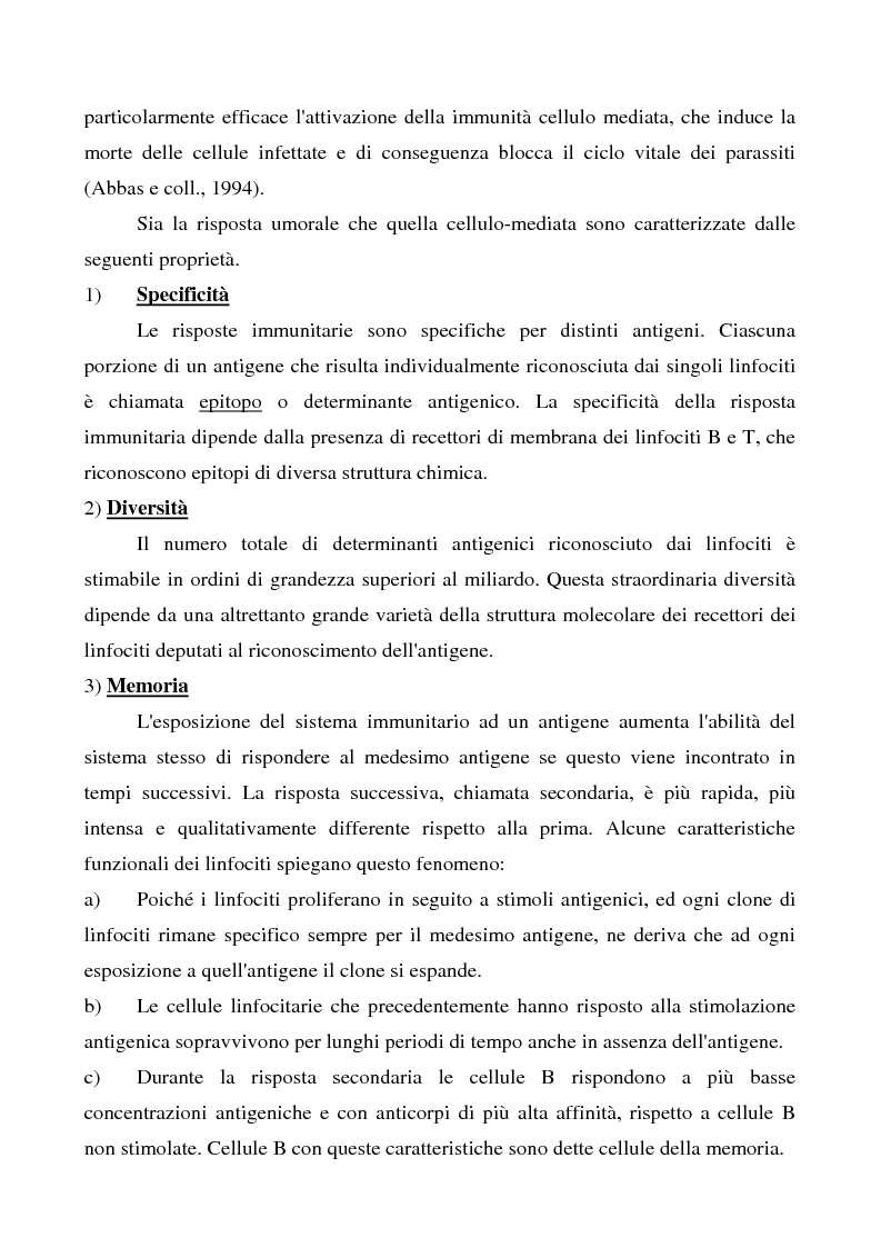 Anteprima della tesi: Mastociti e cellule dendritiche della cute e delle mucose analisi morfologiche e funzionali in condizioni normali e sperimentali, Pagina 8