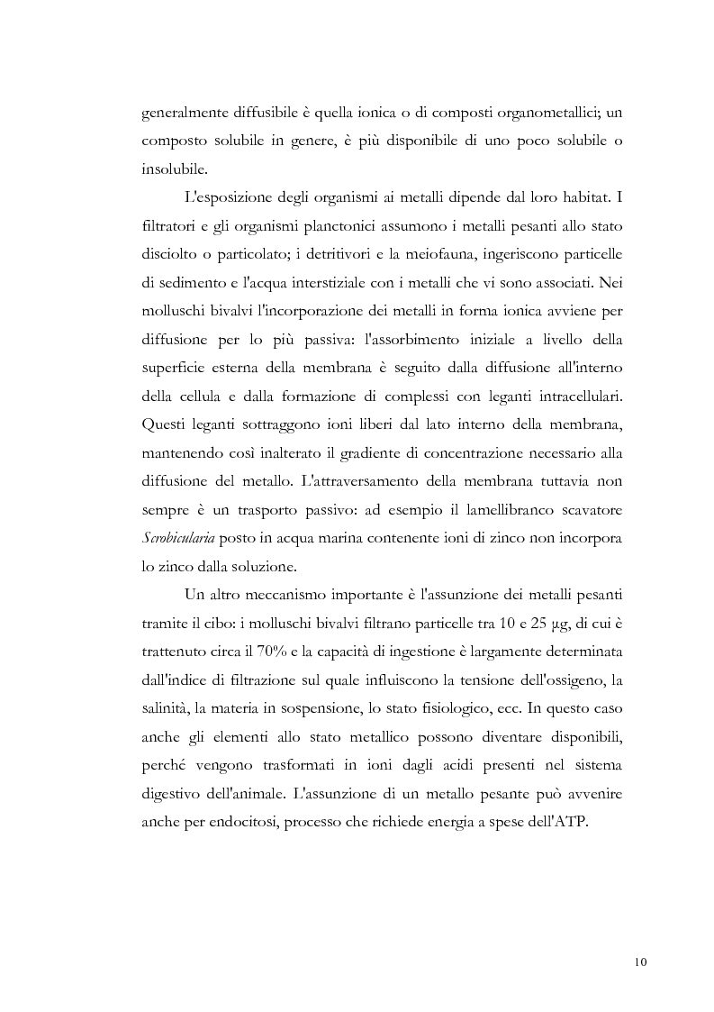 Anteprima della tesi: Valutazione dell'inquinamento da metalli pesanti nell'area antistante l'ex complesso industriale di Bagnoli, Pagina 10