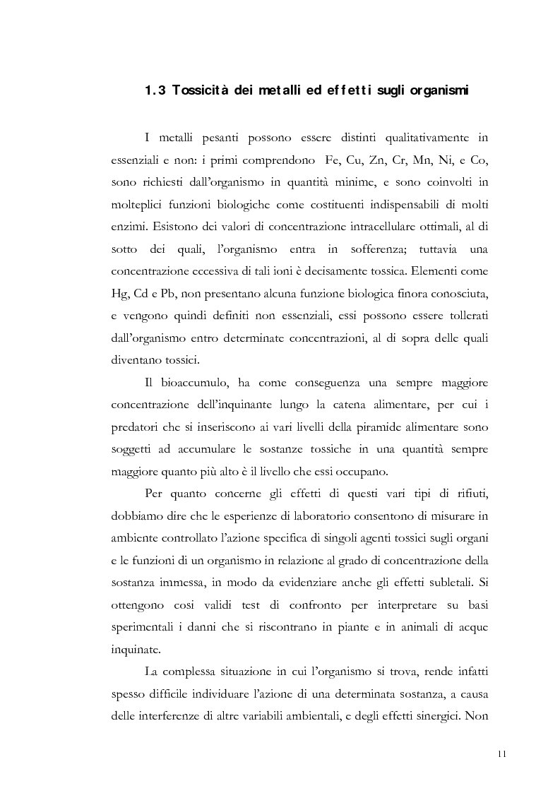 Anteprima della tesi: Valutazione dell'inquinamento da metalli pesanti nell'area antistante l'ex complesso industriale di Bagnoli, Pagina 11