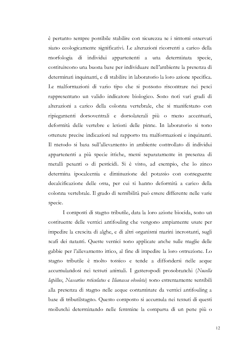Anteprima della tesi: Valutazione dell'inquinamento da metalli pesanti nell'area antistante l'ex complesso industriale di Bagnoli, Pagina 12