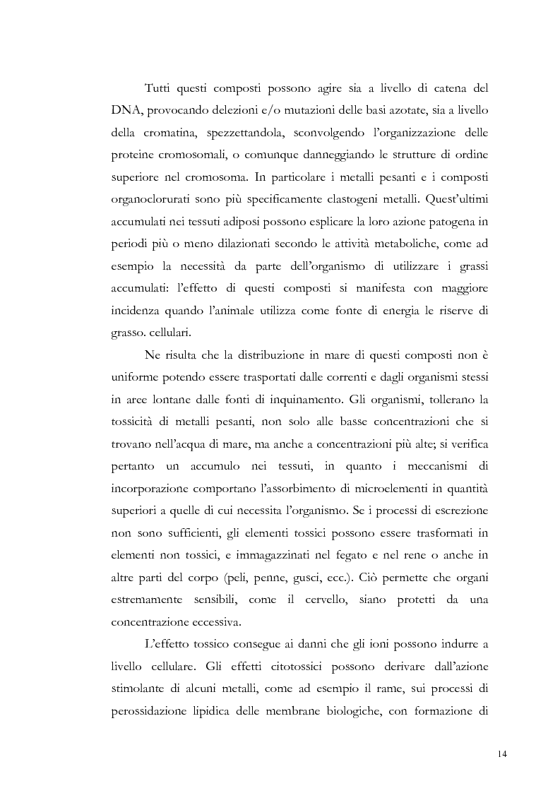 Anteprima della tesi: Valutazione dell'inquinamento da metalli pesanti nell'area antistante l'ex complesso industriale di Bagnoli, Pagina 14