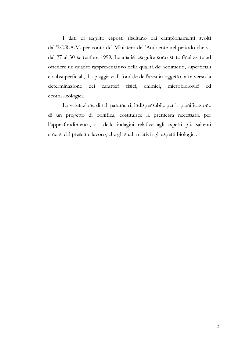 Anteprima della tesi: Valutazione dell'inquinamento da metalli pesanti nell'area antistante l'ex complesso industriale di Bagnoli, Pagina 2