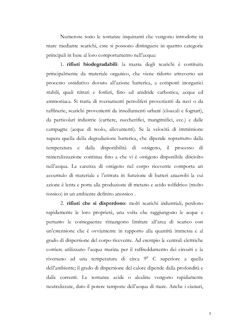 Anteprima della tesi: Valutazione dell'inquinamento da metalli pesanti nell'area antistante l'ex complesso industriale di Bagnoli, Pagina 5