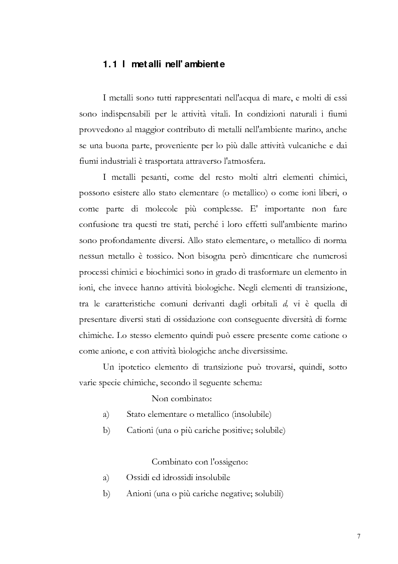 Anteprima della tesi: Valutazione dell'inquinamento da metalli pesanti nell'area antistante l'ex complesso industriale di Bagnoli, Pagina 7