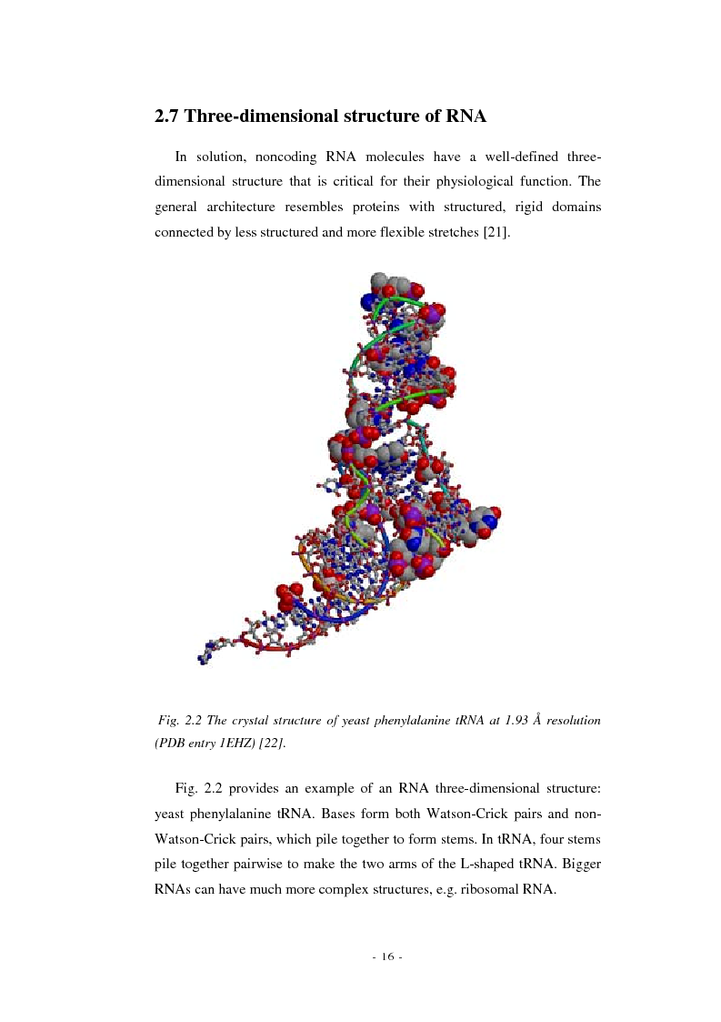 Anteprima della tesi: Prediction of signal recognition particle RNA genes, Pagina 12