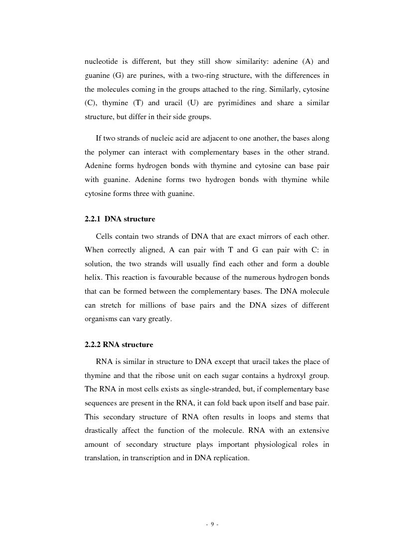 Anteprima della tesi: Prediction of signal recognition particle RNA genes, Pagina 5