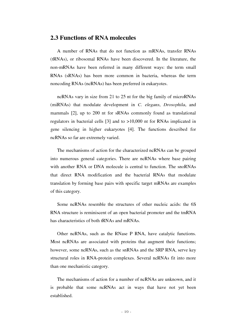 Anteprima della tesi: Prediction of signal recognition particle RNA genes, Pagina 6