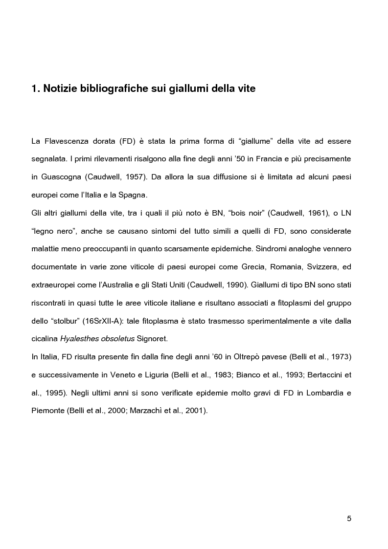 Anteprima della tesi: Indagini sulla presenza e diffusione dei giallumi della vite in Lombardia, Pagina 2