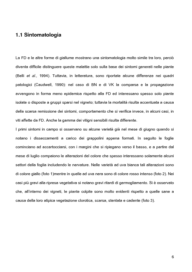 Anteprima della tesi: Indagini sulla presenza e diffusione dei giallumi della vite in Lombardia, Pagina 3