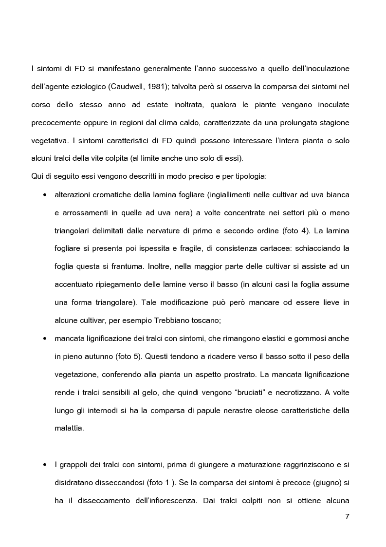 Anteprima della tesi: Indagini sulla presenza e diffusione dei giallumi della vite in Lombardia, Pagina 4