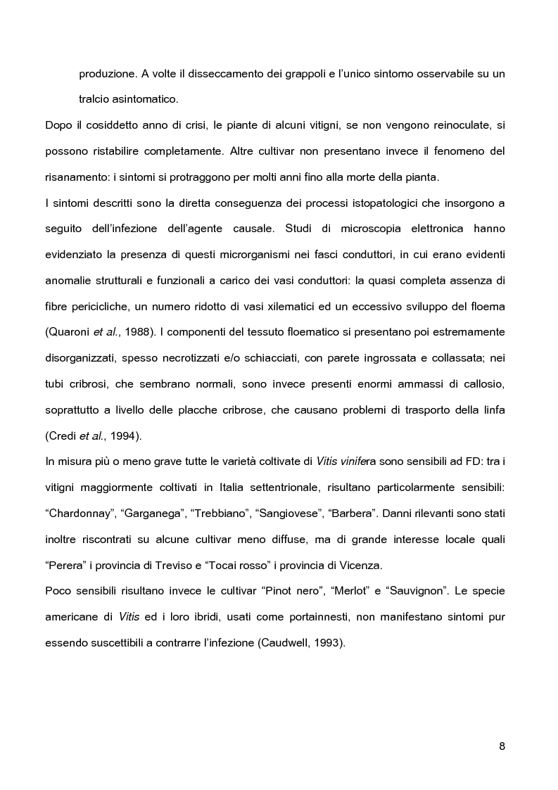 Anteprima della tesi: Indagini sulla presenza e diffusione dei giallumi della vite in Lombardia, Pagina 5