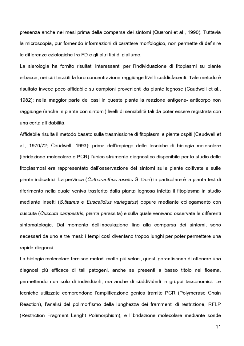 Anteprima della tesi: Indagini sulla presenza e diffusione dei giallumi della vite in Lombardia, Pagina 8