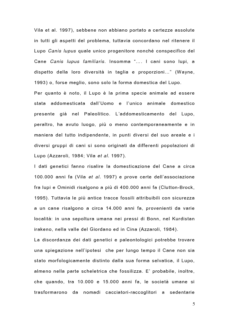 Anteprima della tesi: Indagine sulla popolazione canina nell'area di Arcavacata di Rende (CS), Pagina 5