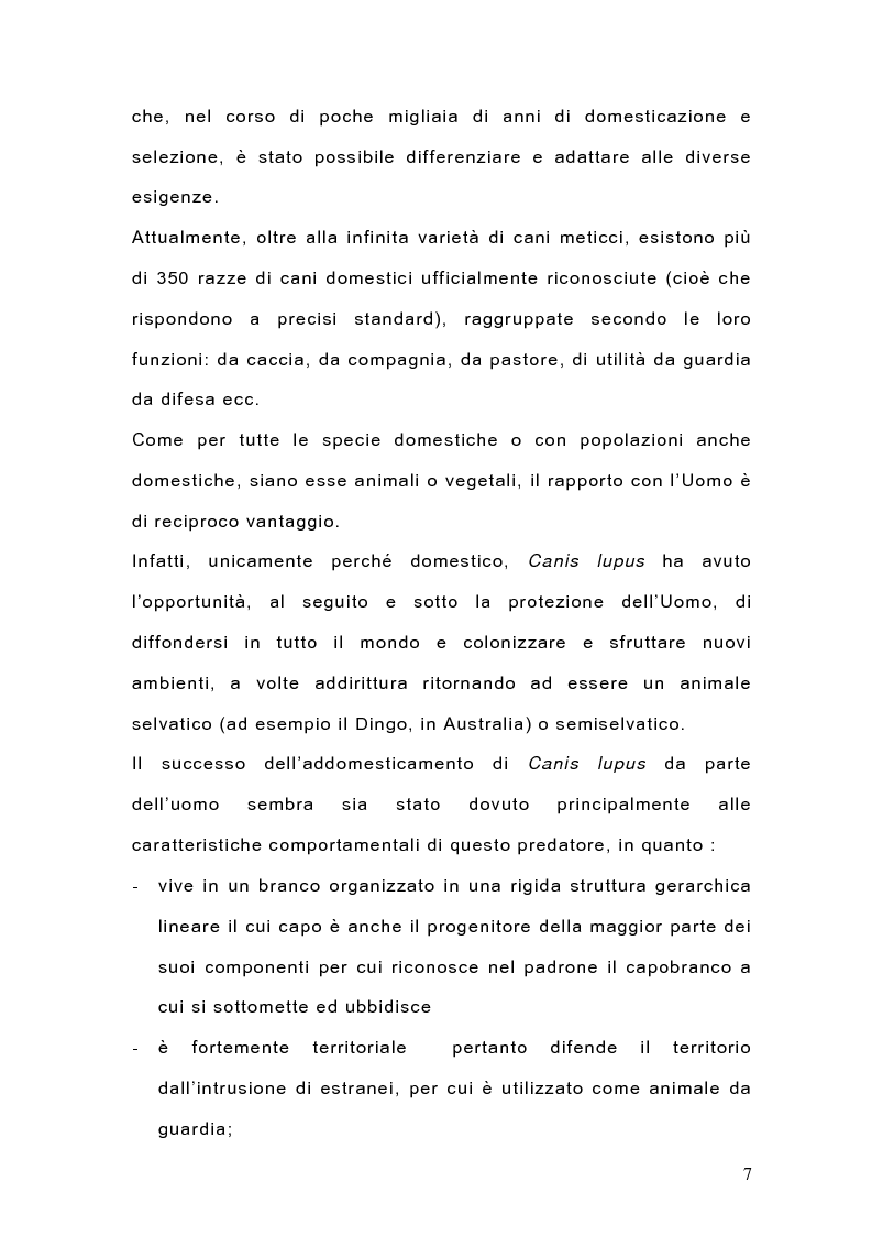 Anteprima della tesi: Indagine sulla popolazione canina nell'area di Arcavacata di Rende (CS), Pagina 7