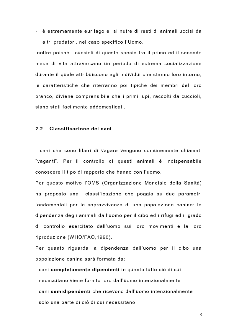 Anteprima della tesi: Indagine sulla popolazione canina nell'area di Arcavacata di Rende (CS), Pagina 8