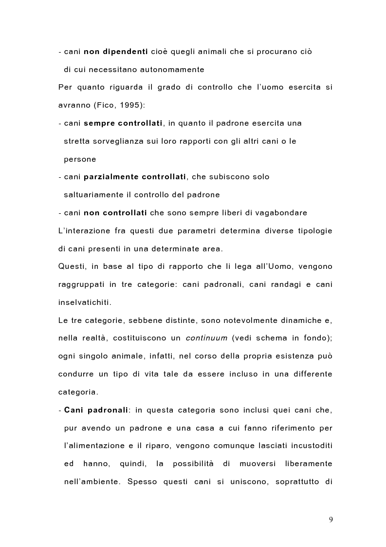 Anteprima della tesi: Indagine sulla popolazione canina nell'area di Arcavacata di Rende (CS), Pagina 9