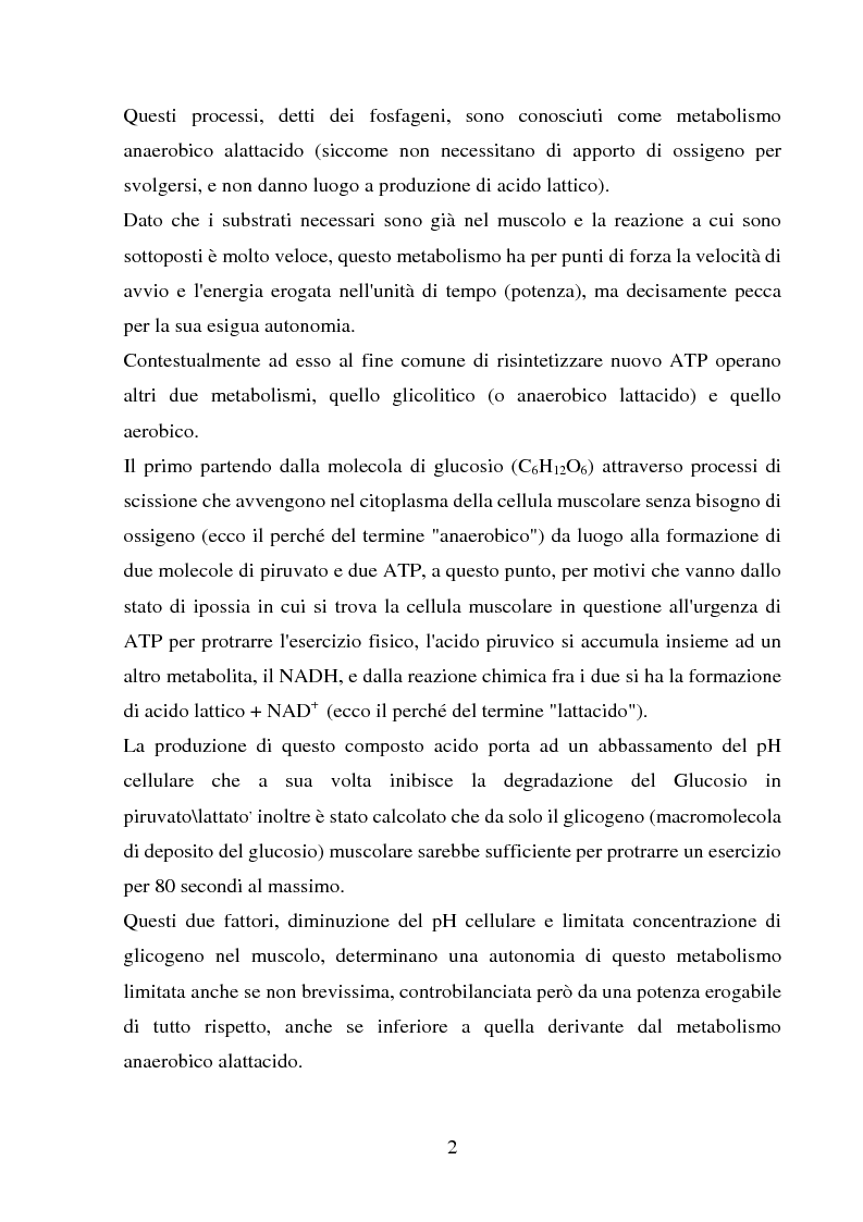 Anteprima della tesi: Il follow-up pluriennale delle caratteristiche fisiologiche in un soggetto in atletica leggera, Pagina 2
