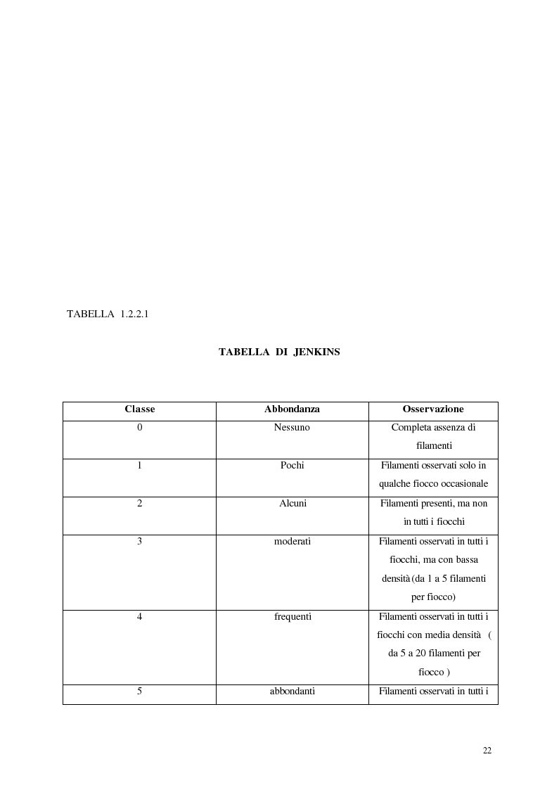 Anteprima della tesi: Analisi, aggiornamento e validazione di un sistema esperto per la gestione degli impianti di depurazione a fanghi attivi, Pagina 10