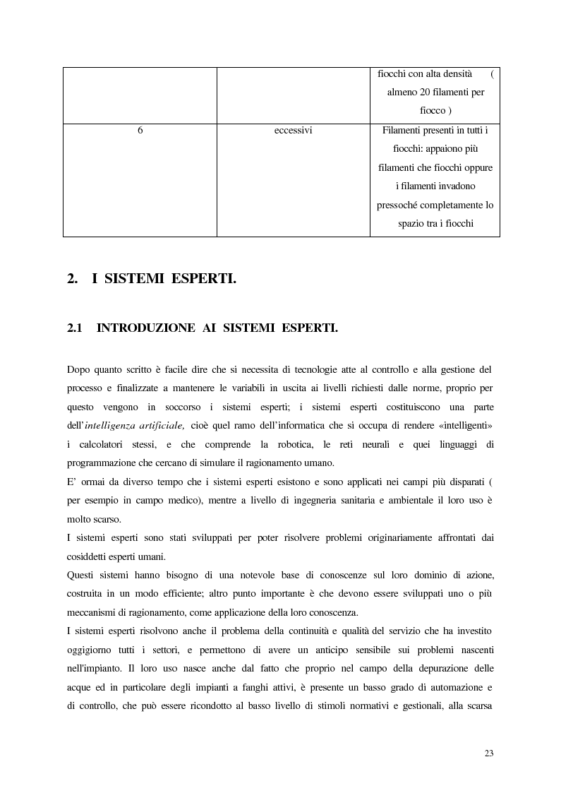 Anteprima della tesi: Analisi, aggiornamento e validazione di un sistema esperto per la gestione degli impianti di depurazione a fanghi attivi, Pagina 11