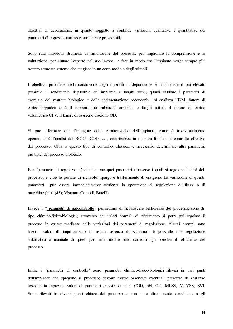 Anteprima della tesi: Analisi, aggiornamento e validazione di un sistema esperto per la gestione degli impianti di depurazione a fanghi attivi, Pagina 2