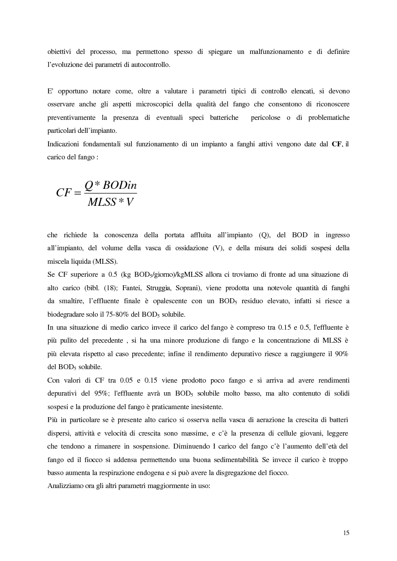 Anteprima della tesi: Analisi, aggiornamento e validazione di un sistema esperto per la gestione degli impianti di depurazione a fanghi attivi, Pagina 3