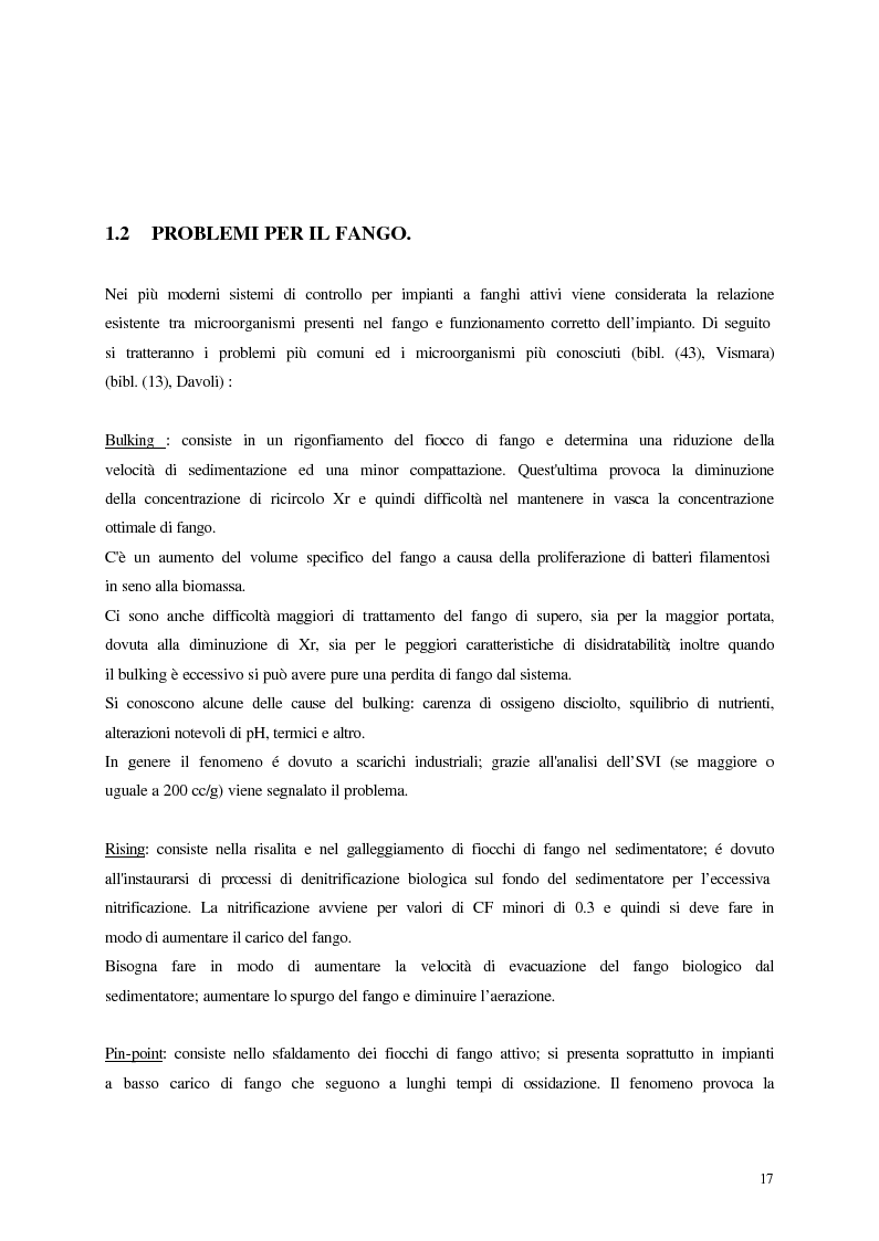 Anteprima della tesi: Analisi, aggiornamento e validazione di un sistema esperto per la gestione degli impianti di depurazione a fanghi attivi, Pagina 5