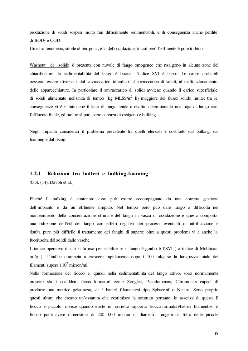 Anteprima della tesi: Analisi, aggiornamento e validazione di un sistema esperto per la gestione degli impianti di depurazione a fanghi attivi, Pagina 6
