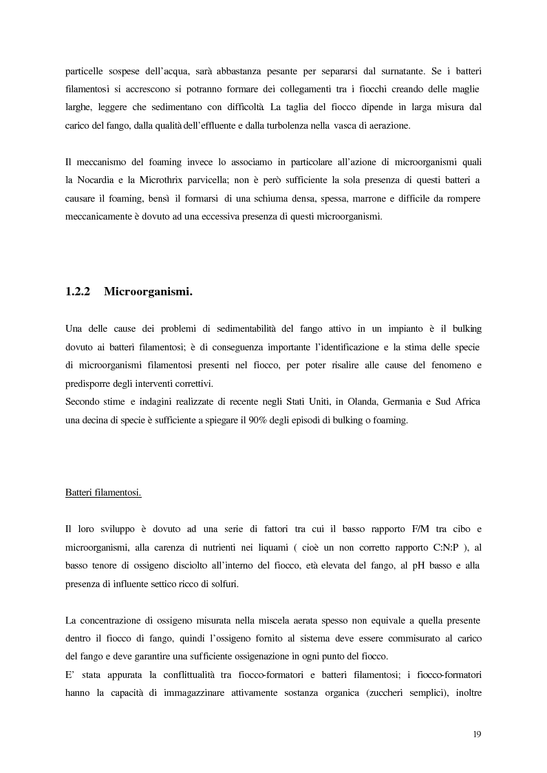 Anteprima della tesi: Analisi, aggiornamento e validazione di un sistema esperto per la gestione degli impianti di depurazione a fanghi attivi, Pagina 7