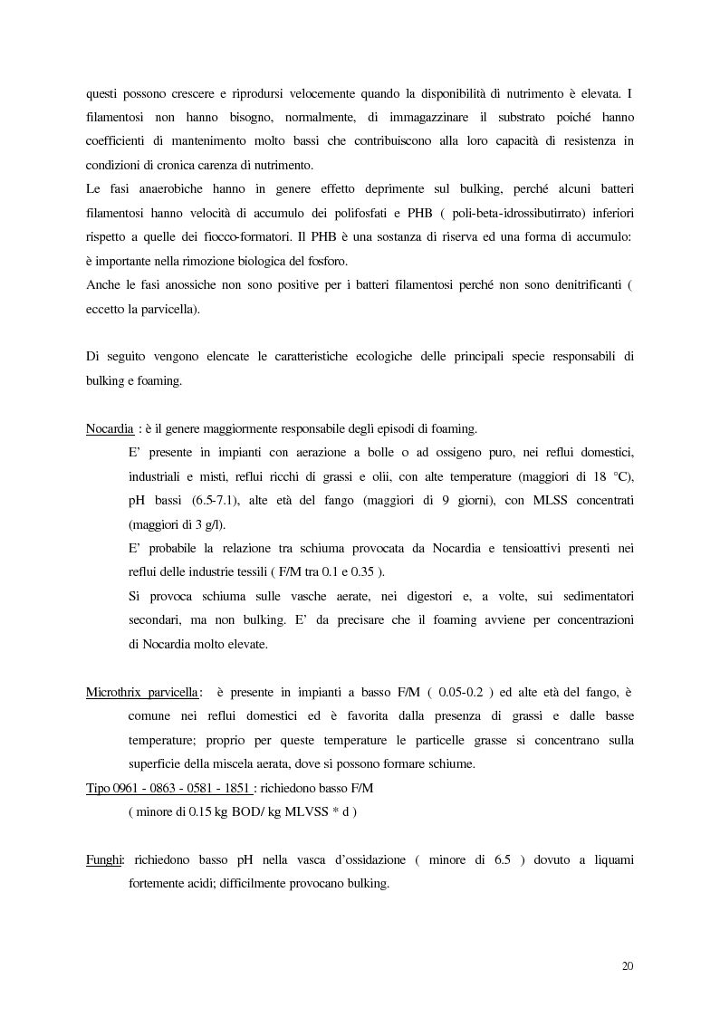 Anteprima della tesi: Analisi, aggiornamento e validazione di un sistema esperto per la gestione degli impianti di depurazione a fanghi attivi, Pagina 8