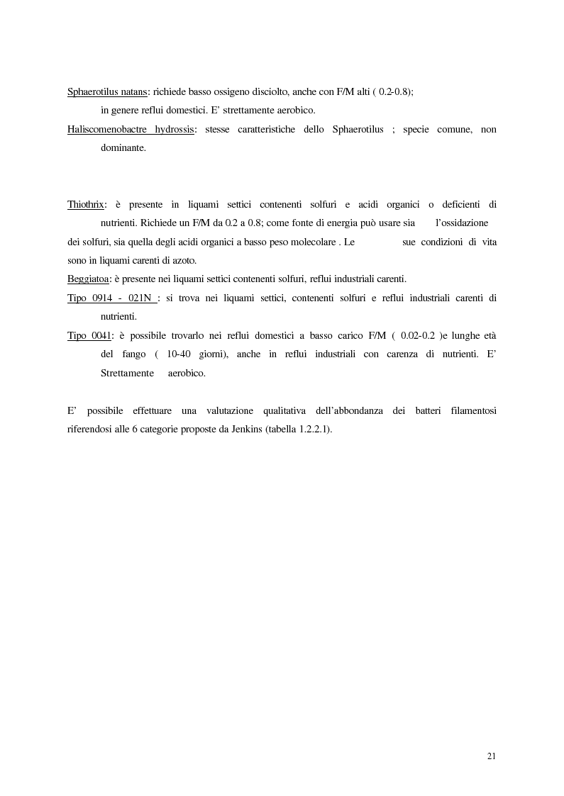 Anteprima della tesi: Analisi, aggiornamento e validazione di un sistema esperto per la gestione degli impianti di depurazione a fanghi attivi, Pagina 9