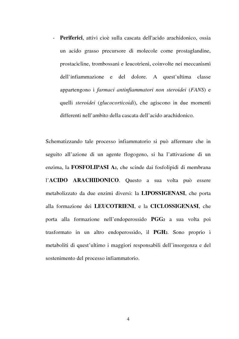 Anteprima della tesi: Aspetti farmacologici di due importanti inibitori delle COX-2: Celecoxib e Rofecoxib, Pagina 4
