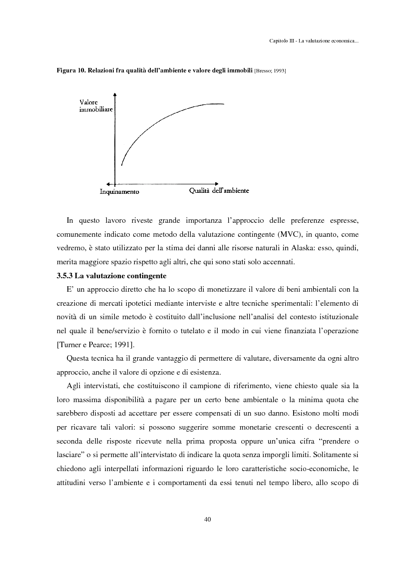 Anteprima della tesi: Il caso Exxon Valdez e il danno ambientale: valutazione economica, prevenzione e rimedi, Pagina 11