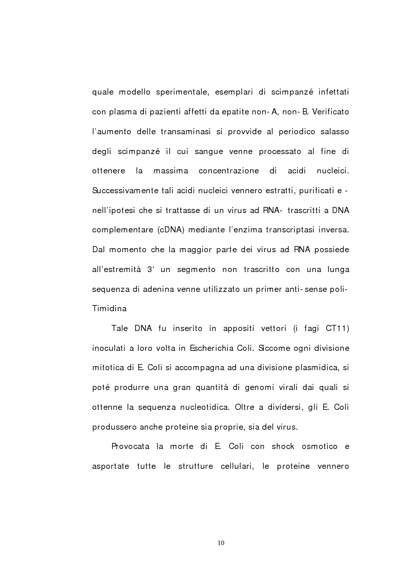 Anteprima della tesi: Indagine epidemiologica sull'infezione da virus dell'epatite C: prevalenza nella popolazione del Nord-Est d'Italia di un nuovo genotipo virale, Pagina 5