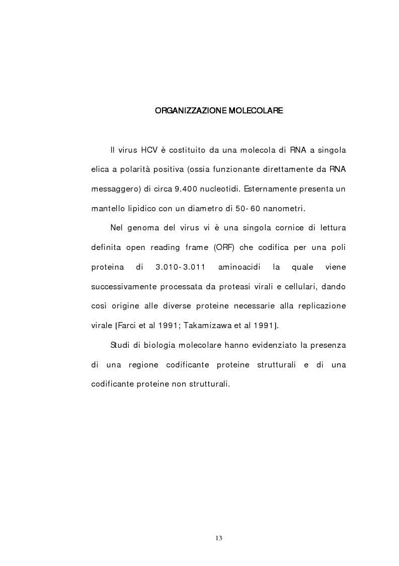 Anteprima della tesi: Indagine epidemiologica sull'infezione da virus dell'epatite C: prevalenza nella popolazione del Nord-Est d'Italia di un nuovo genotipo virale, Pagina 8