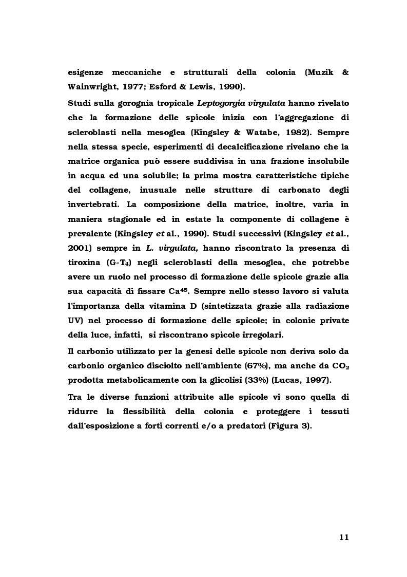 Anteprima della tesi: Biologia di alcuni Gorgonacei mediterranei in differenti condizioni sperimentali, Pagina 10