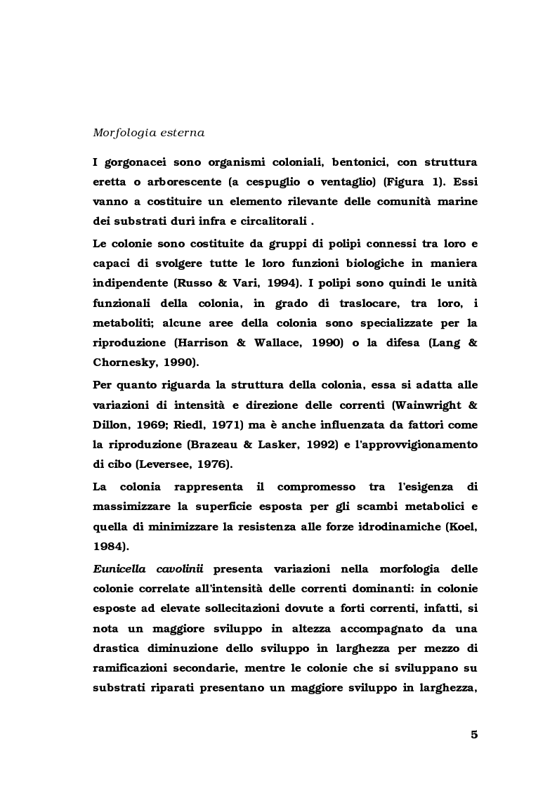 Anteprima della tesi: Biologia di alcuni Gorgonacei mediterranei in differenti condizioni sperimentali, Pagina 4