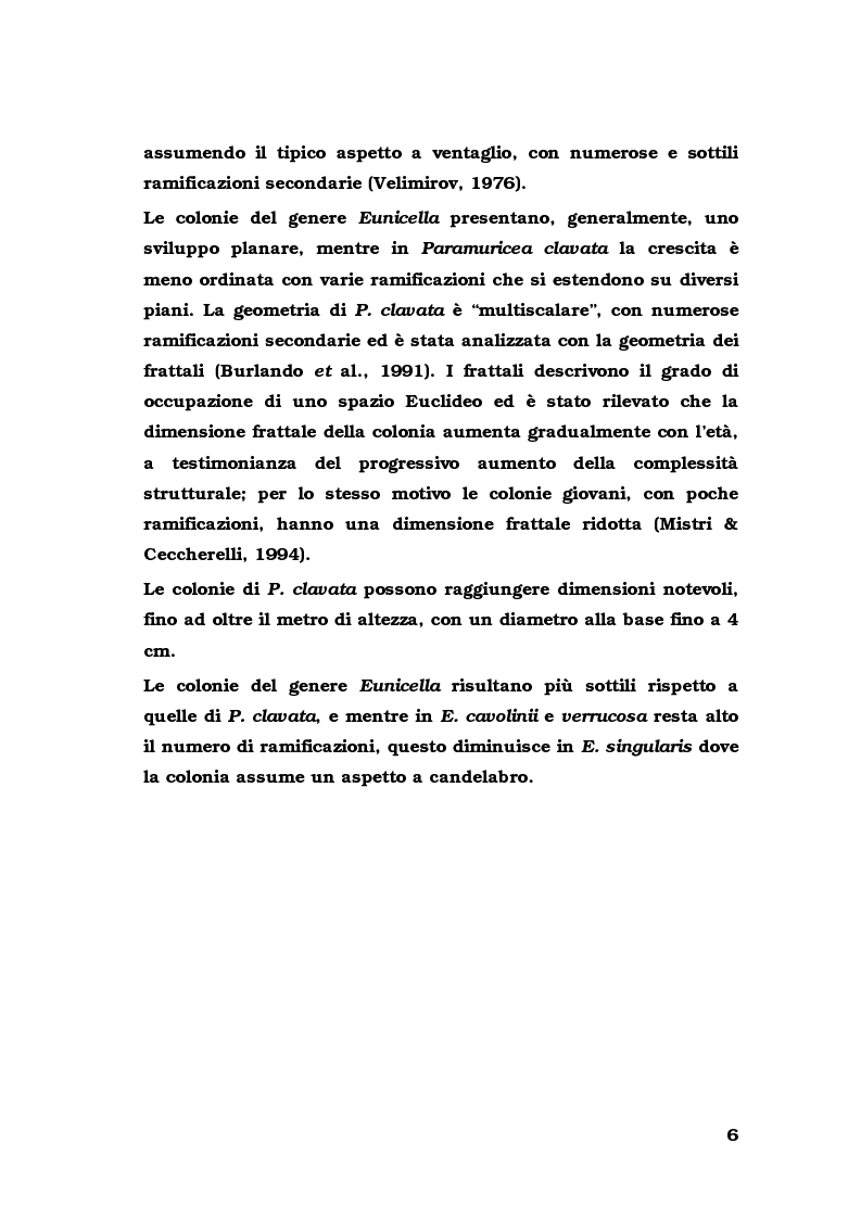 Anteprima della tesi: Biologia di alcuni Gorgonacei mediterranei in differenti condizioni sperimentali, Pagina 5