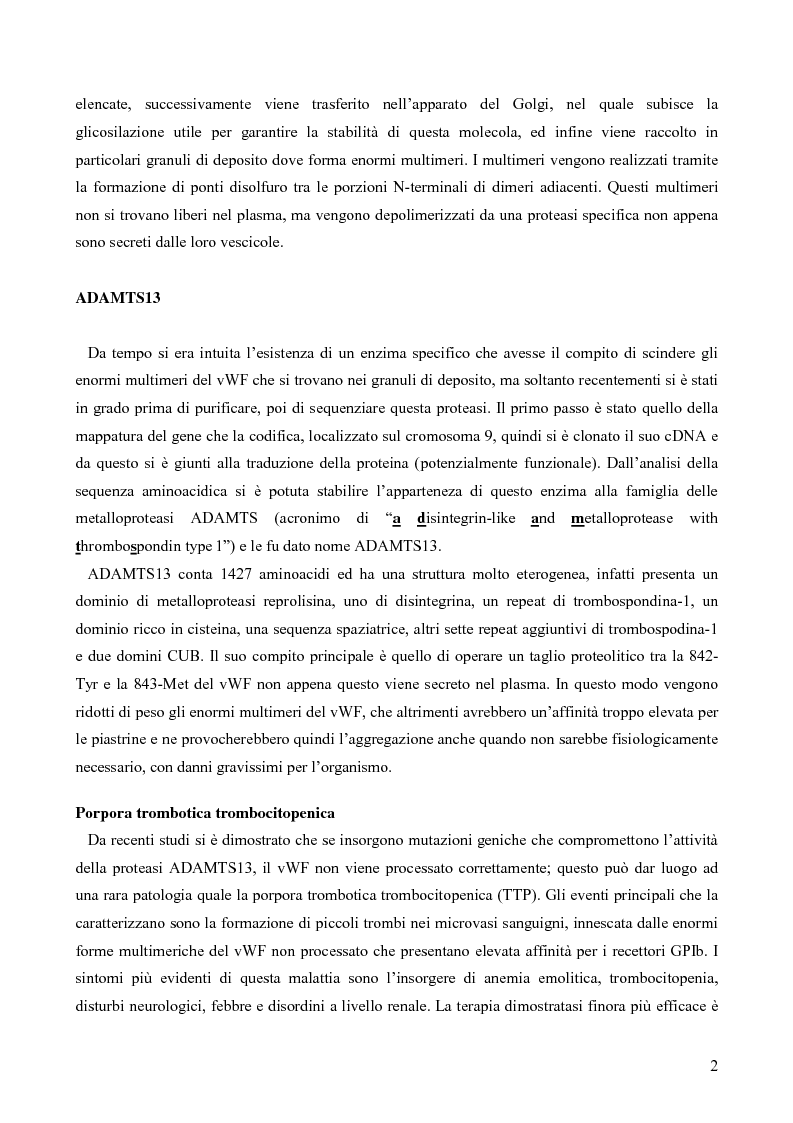 Anteprima della tesi: Proteolisi dei fattori della coagulazione, Pagina 2