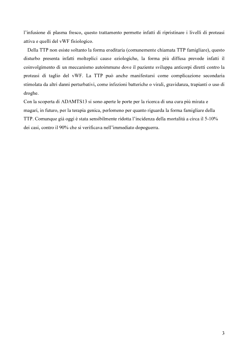 Anteprima della tesi: Proteolisi dei fattori della coagulazione, Pagina 3