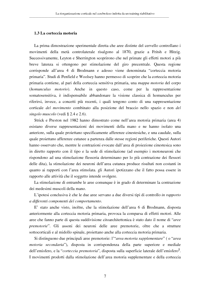 Anteprima della tesi: La riorganizzazione corticale nel cerebroleso indotta da un training riabilitativo, Pagina 11
