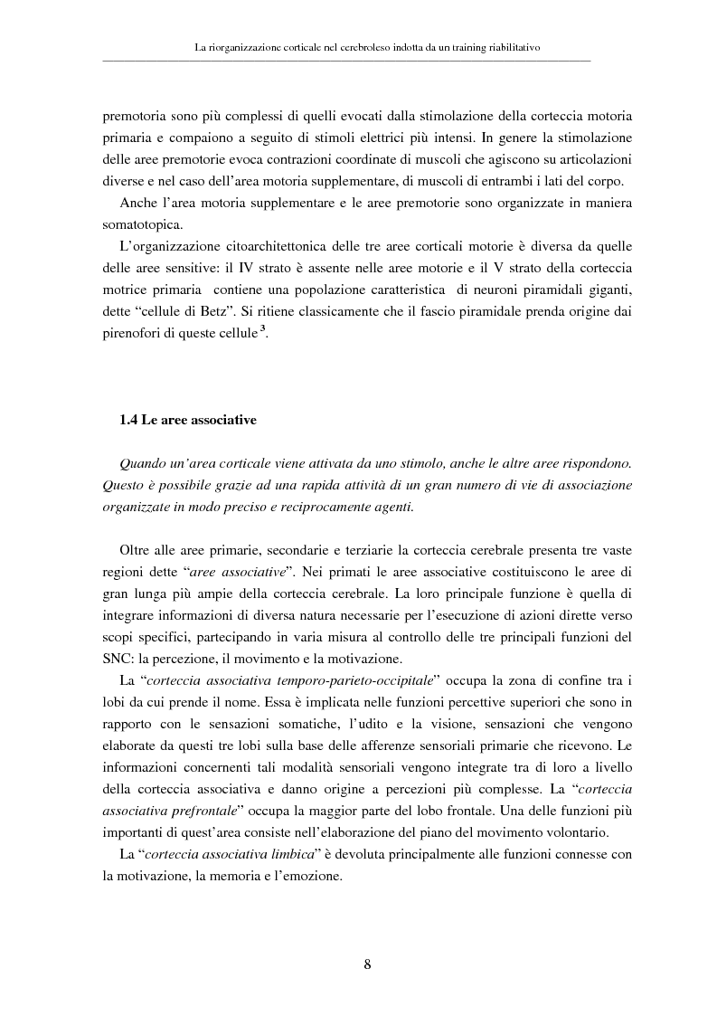 Anteprima della tesi: La riorganizzazione corticale nel cerebroleso indotta da un training riabilitativo, Pagina 12