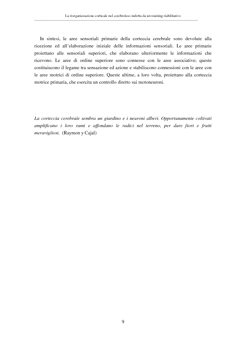 Anteprima della tesi: La riorganizzazione corticale nel cerebroleso indotta da un training riabilitativo, Pagina 13