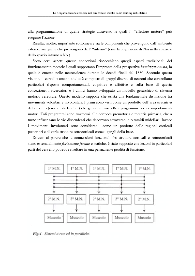 Anteprima della tesi: La riorganizzazione corticale nel cerebroleso indotta da un training riabilitativo, Pagina 15