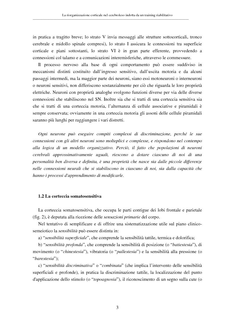 Anteprima della tesi: La riorganizzazione corticale nel cerebroleso indotta da un training riabilitativo, Pagina 7