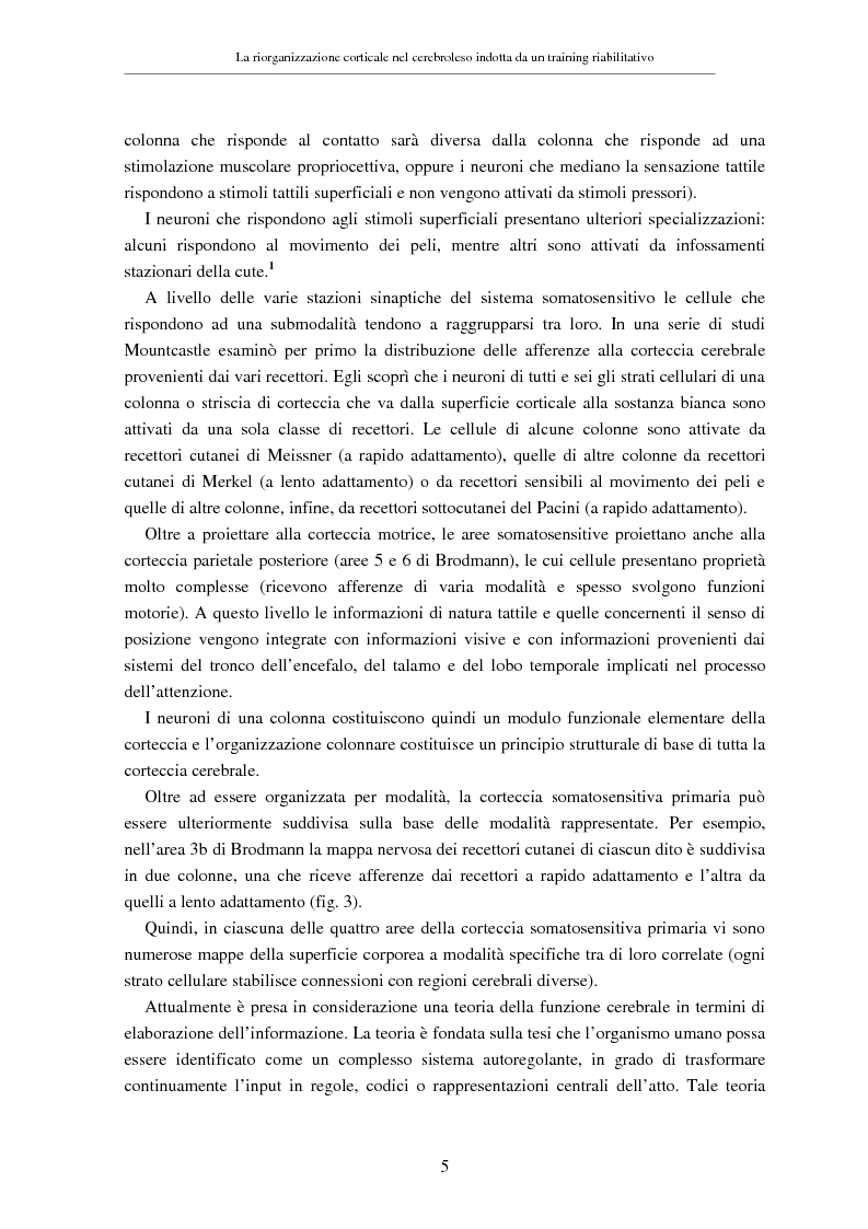 Anteprima della tesi: La riorganizzazione corticale nel cerebroleso indotta da un training riabilitativo, Pagina 9