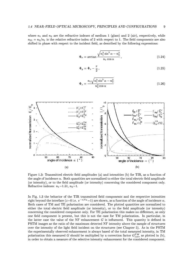 Anteprima della tesi: Near-Field Optics of Localized Surface Plasmons, Pagina 11
