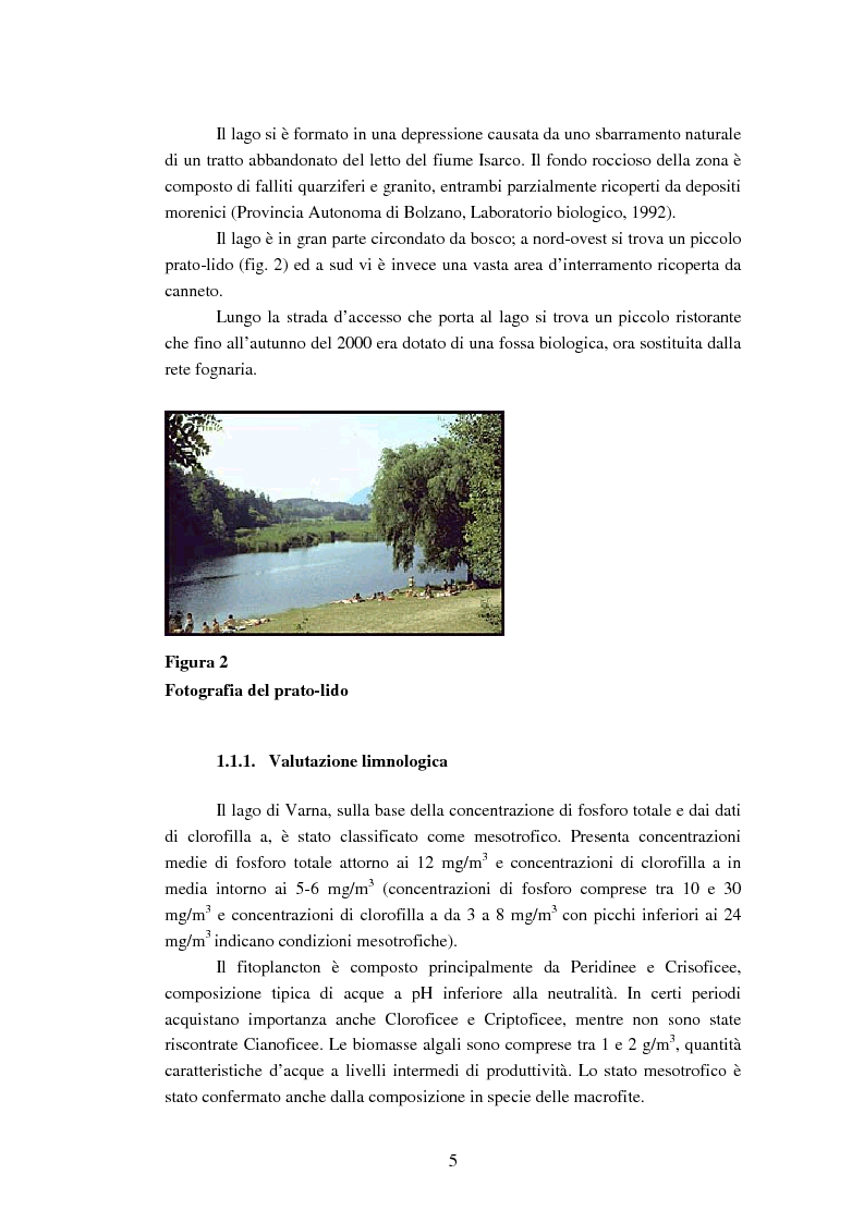 Anteprima della tesi: Analisi dei ribotipi dei ceppi di Escherichia coli isolati dal lago di Varna (Bz), Pagina 2