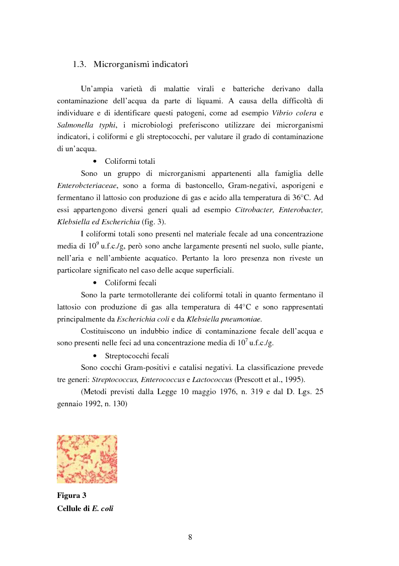 Anteprima della tesi: Analisi dei ribotipi dei ceppi di Escherichia coli isolati dal lago di Varna (Bz), Pagina 5