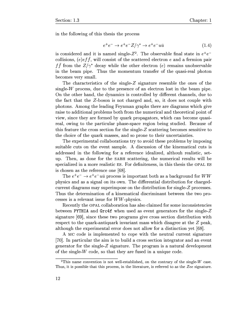 Anteprima della tesi: Electro-weak physics with forward dynamics at LEP, Pagina 12